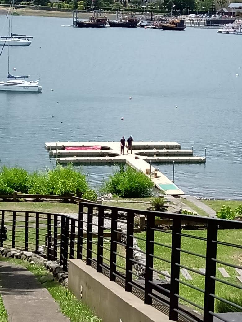 Marina villarica muelle flotante poza pucon embarcadero marina