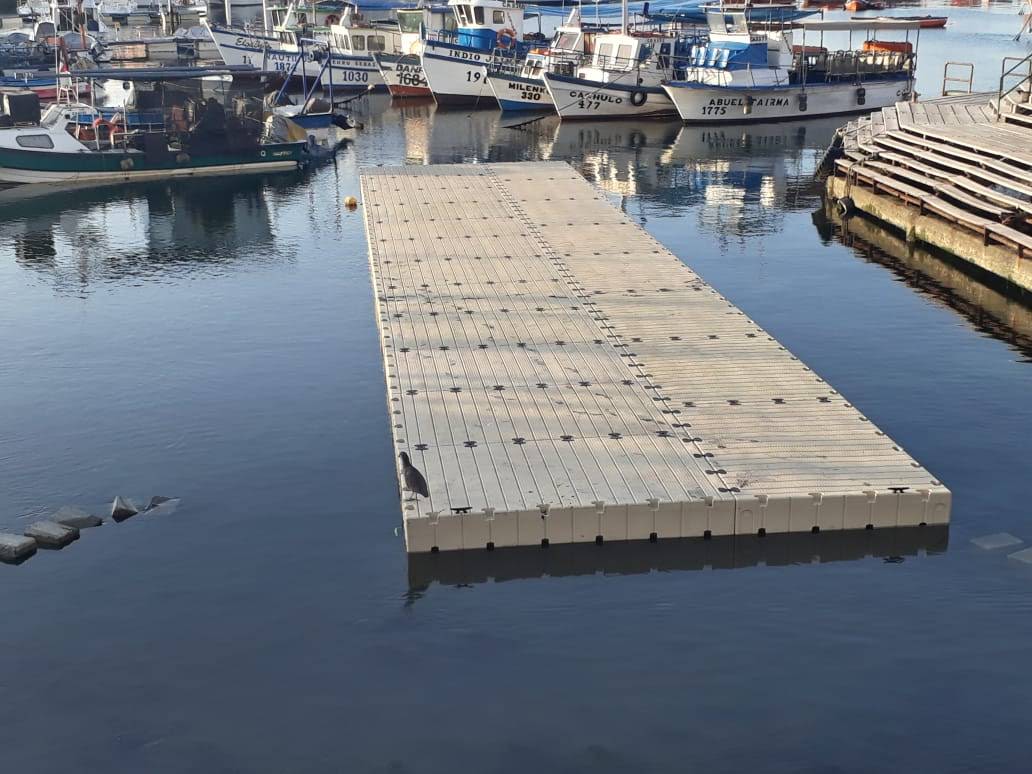 Muelle ecológico Iquique para animales y fauna 